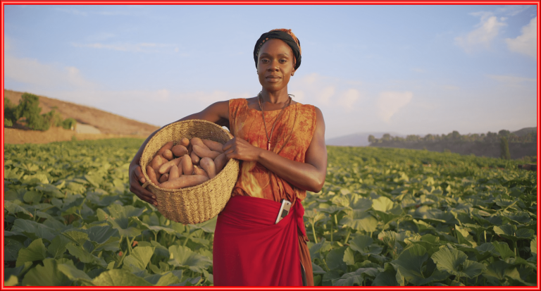 21 Inspirierende Blockchain-Zitate – mit Use Cases