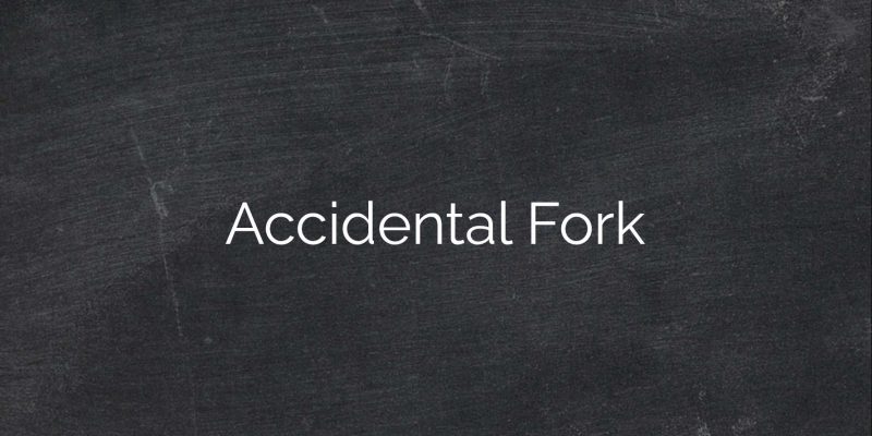 AccidentalFork1