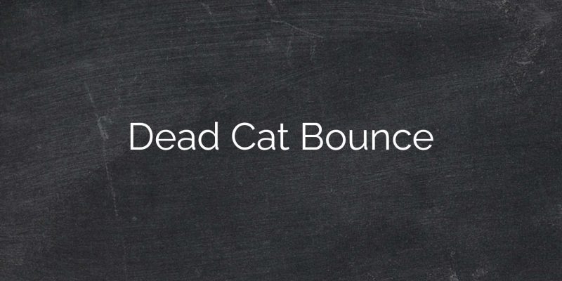 Deadcatbounce1