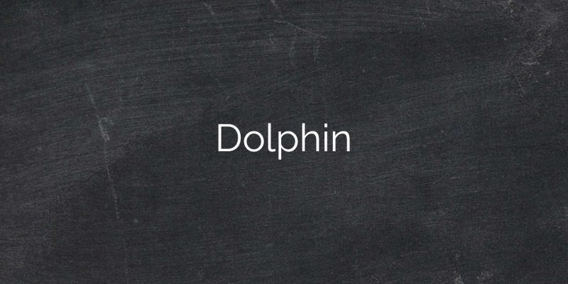 Dolphin1