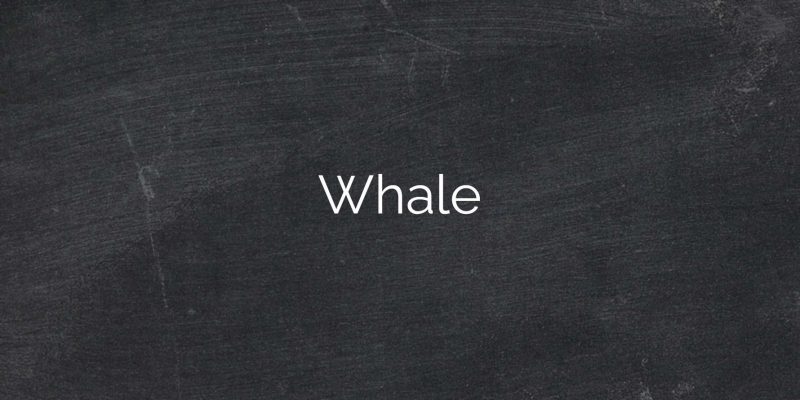 Whale1